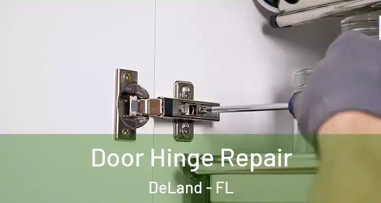  Door Hinge Repair DeLand - FL