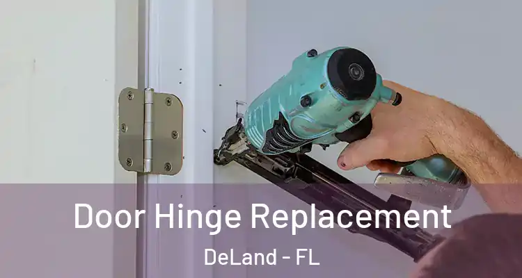  Door Hinge Replacement DeLand - FL