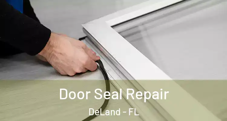 Door Seal Repair DeLand - FL