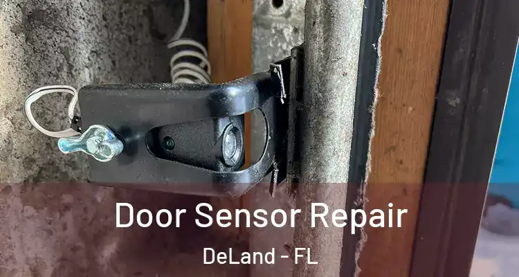  Door Sensor Repair DeLand - FL