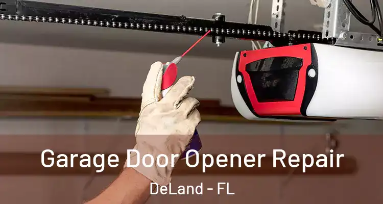  Garage Door Opener Repair DeLand - FL