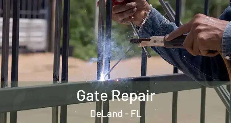  Gate Repair DeLand - FL