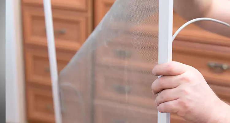 Privacy Mesh Screen Door Installation in DeLand, FL