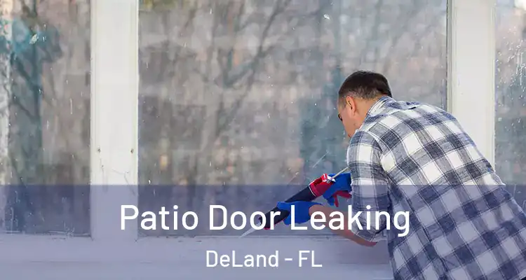  Patio Door Leaking DeLand - FL