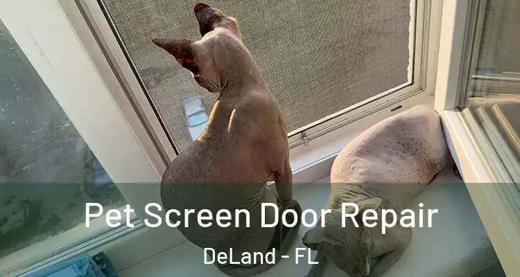  Pet Screen Door Repair DeLand - FL