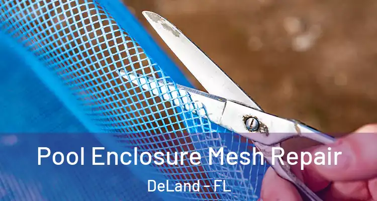  Pool Enclosure Mesh Repair DeLand - FL